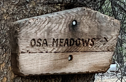 osa meadow